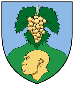 Coa Hungary Town Vértesszőlős